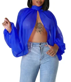 Bat Long Sleeve Chiffon Blouse