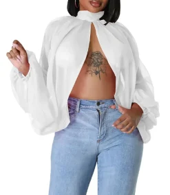 Bat Long Sleeve Chiffon Blouse