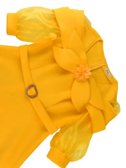 Bow Tie Lantern Sleeve A-Line Dress