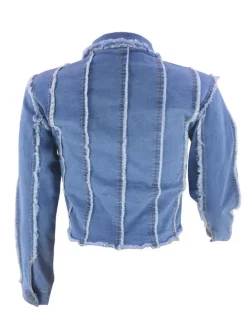 Denim Long Sleeves Button Ripped Jacket