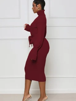 High Neck Long Sleeve Solid Midi Dreses