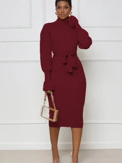 High Neck Long Sleeve Solid Midi Dreses