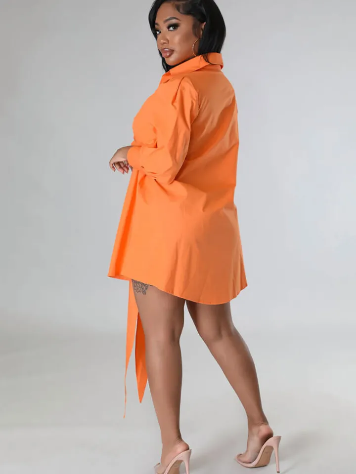 Long Sleeve Button Solid Shirt Dress