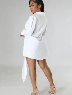 Long Sleeve Button Solid Shirt Dress