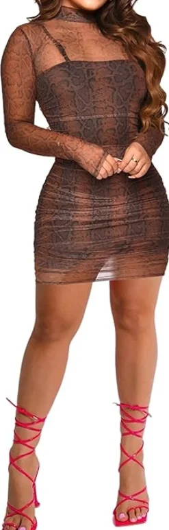 Long Sleeve Ruched Mesh Mini Dress