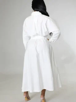 Long Sleeve Solid Color Bodycon Maxi Dress