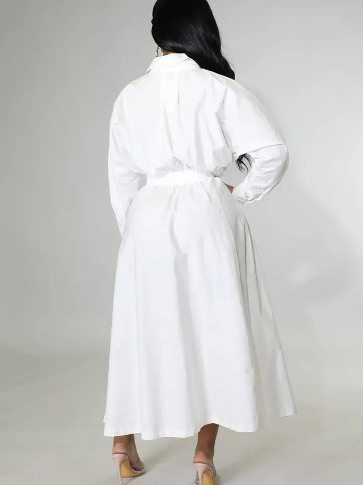 Long Sleeve Solid Color Bodycon Maxi Dress