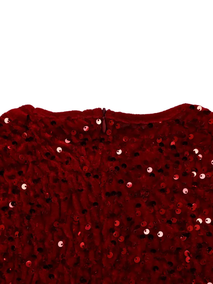 Long Sleeve Solid Color Sequin Dress