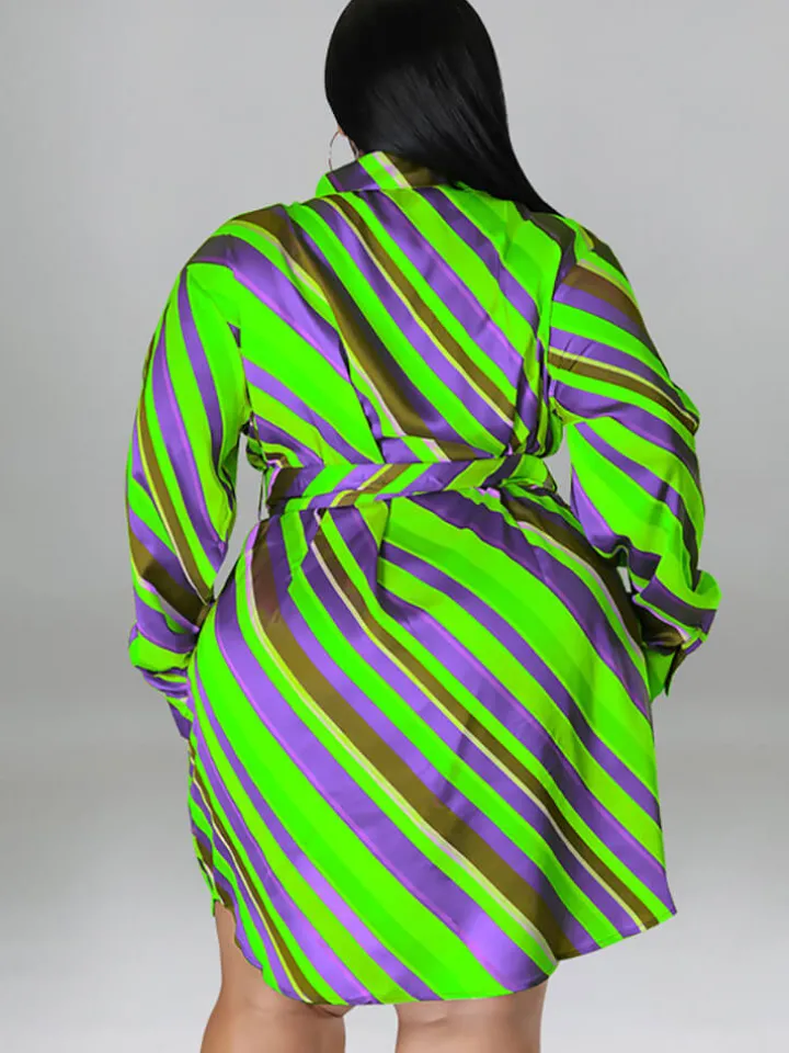 Long Sleeve Striped Mini Dress With Belt