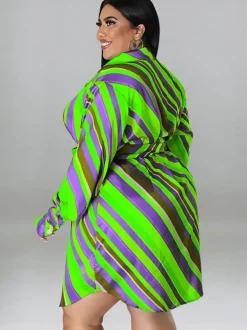 Long Sleeve Striped Mini Dress With Belt