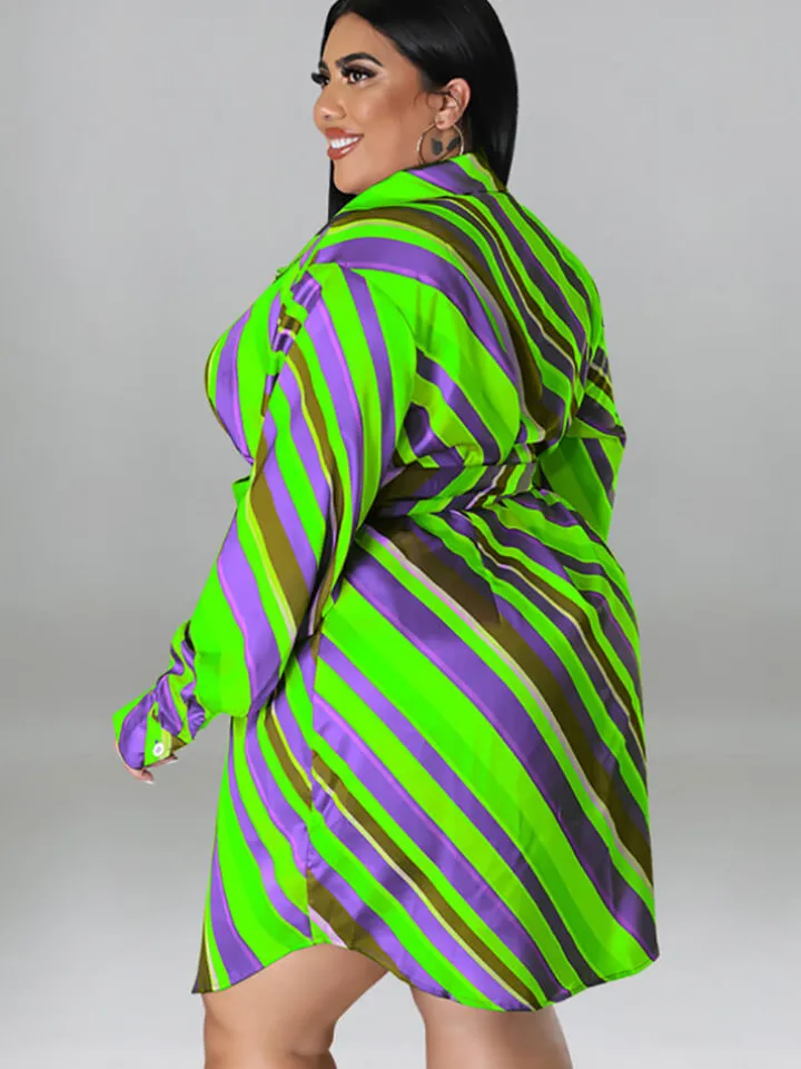 Long Sleeve Striped Mini Dress With Belt