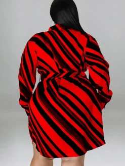 Long Sleeve Striped Mini Dress With Belt