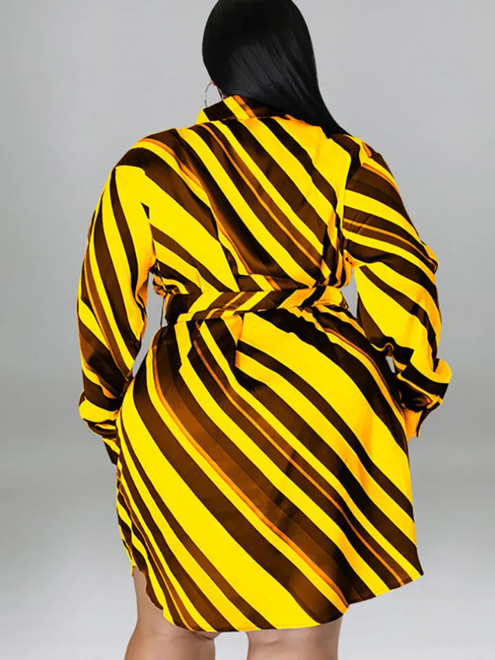 Long Sleeve Striped Mini Dress With Belt