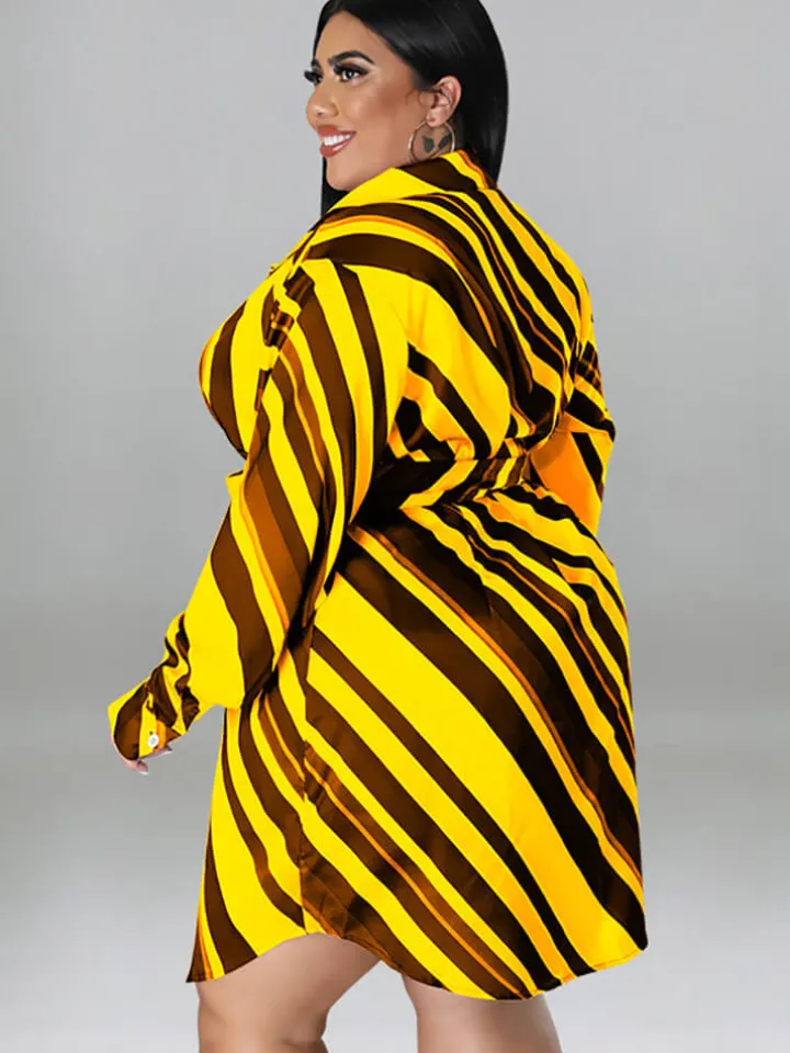 Long Sleeve Striped Mini Dress With Belt