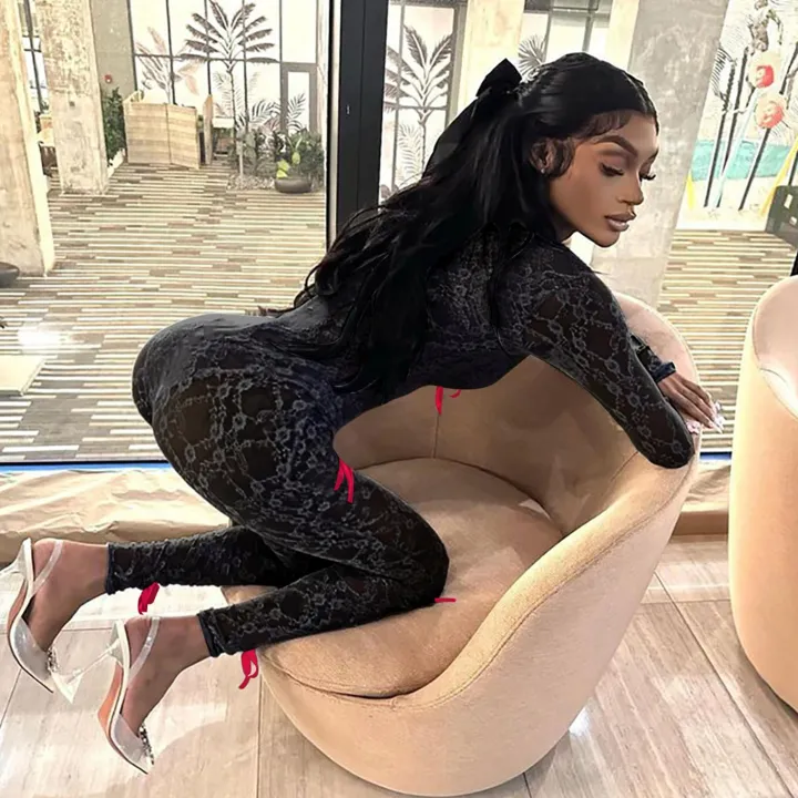 Mesh Long Sleeve Bodycon Jumpsuit