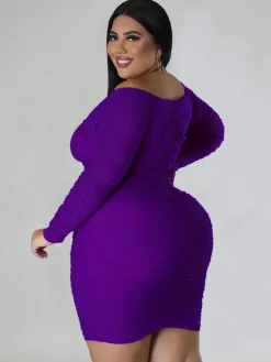 Mesh Patchwork Ruched Plus Size Mini Dress