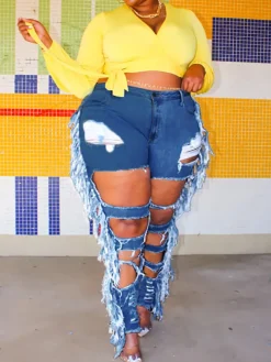 Plus Size Fringe Ripped Cutout Denim Jeans