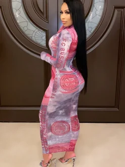 Sheer Mesh See Through Dollar Print Maxi Dress