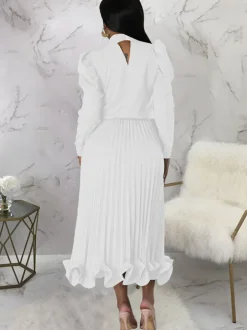 Two Piece Crop Top Pleated Maxi Skirts