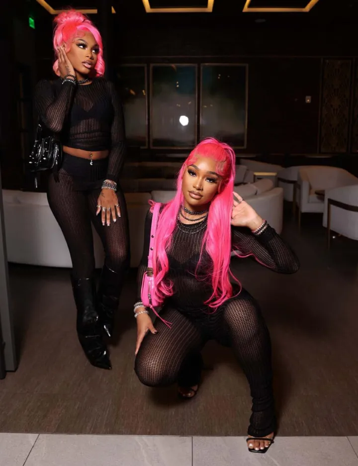 Two Piece Mesh Long Sleeve Crop Top Pants