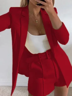 Two Piece Office Long Sleeve Solid Pant Suit