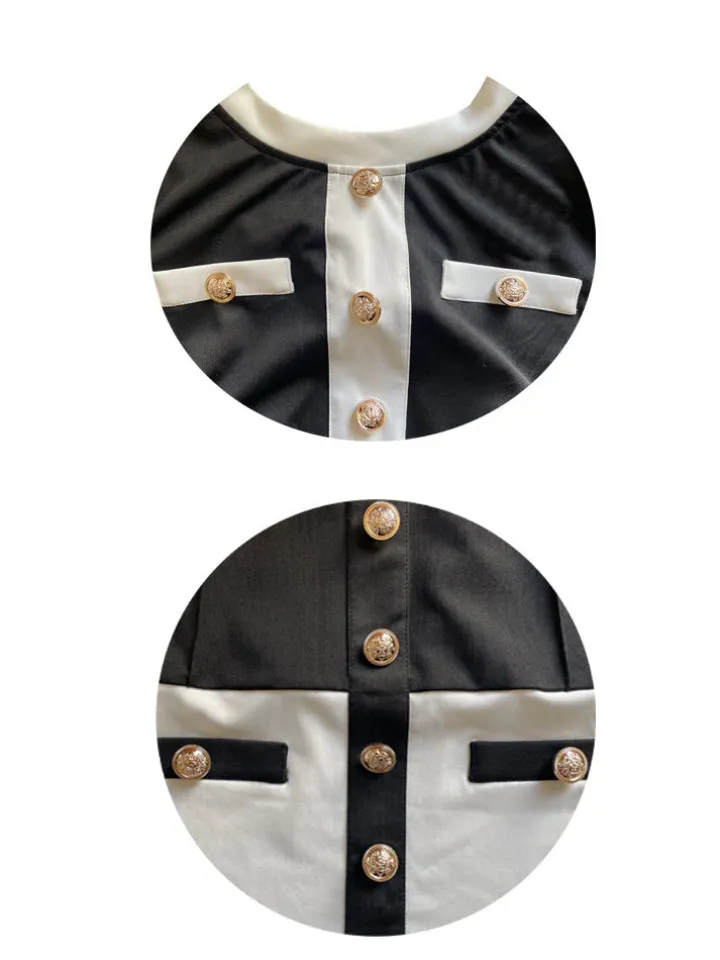 Two Pieces Color Block Button Front Skirt Set