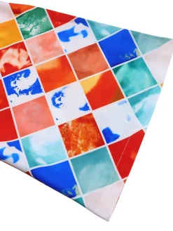 V-Neck Printed Top u0026 Pleated Skirt Two-Piece Set